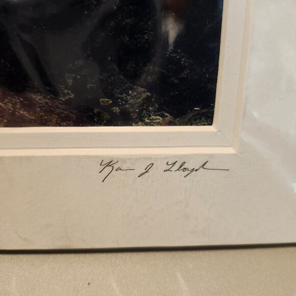 Vermont Original Signed Matted Photos - Picture 4 of 9